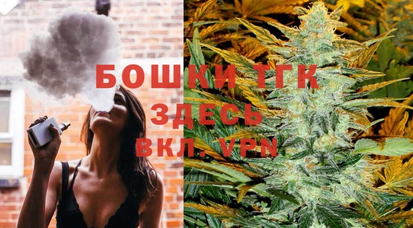 MESCALINE Горно-Алтайск