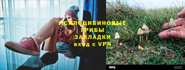 MESCALINE Горно-Алтайск