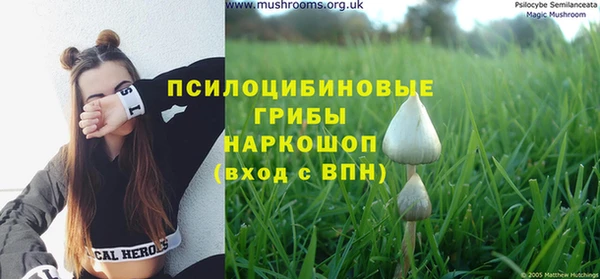 a pvp Горнозаводск
